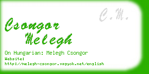 csongor melegh business card